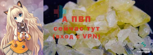 индика Гусев