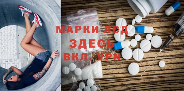 apvp Магас