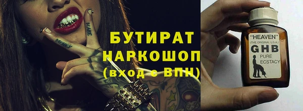 индика Гусев