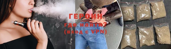 индика Гусев