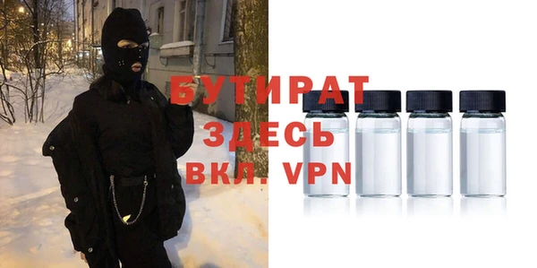 индика Гусев
