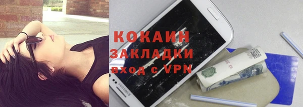 индика Гусев