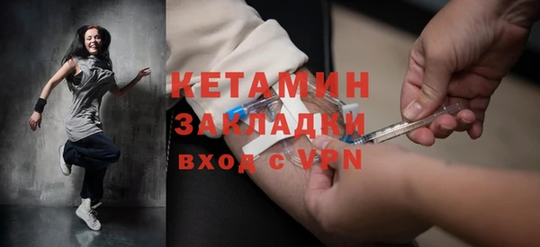 индика Гусев