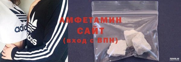 индика Гусев