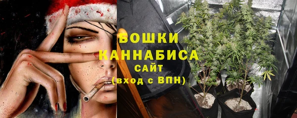винт Гусиноозёрск