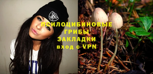 винт Гусиноозёрск