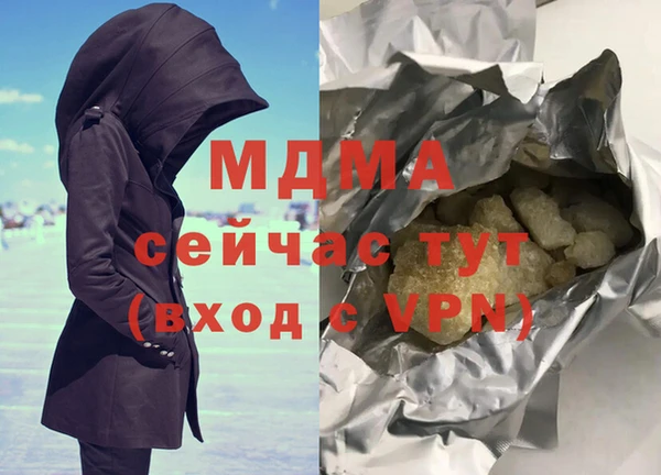 индика Гусев