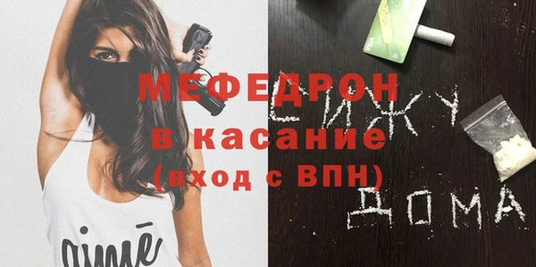 индика Гусев