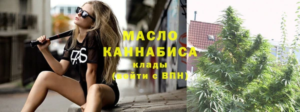 индика Гусев