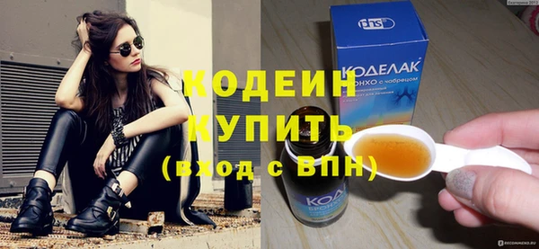 индика Гусев