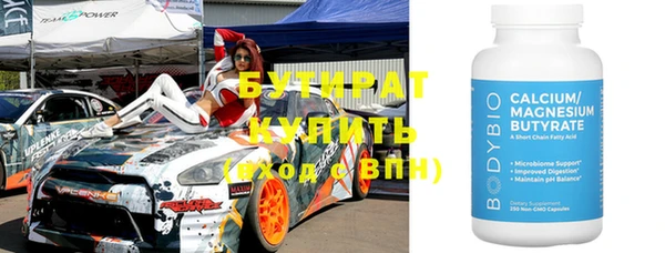 индика Гусев