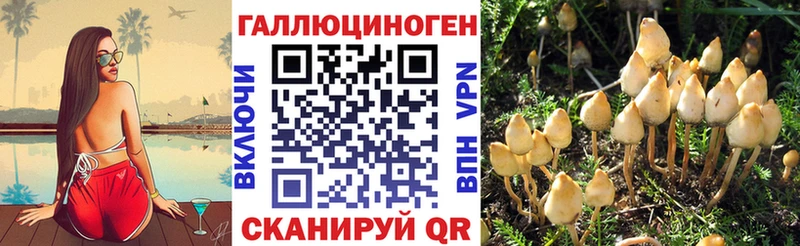 Псилоцибиновые грибы Psilocybine cubensis  где найти наркотики  Озёры 